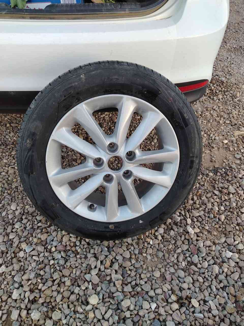 سلا م عليكم ورحمة الله وبركاته. مراوس بل اصلي مالته يذ اكو مراوس لا عواج ولا طخه نضيف *********** مكاني بابل
