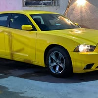 جانجر • ٢٠١٣ • صبغه جديده