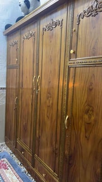 كنتور خشب • عراقي • ٤ أشهر