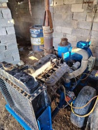 مولد • ٣٠ كيلو • الديوانية الشاميه