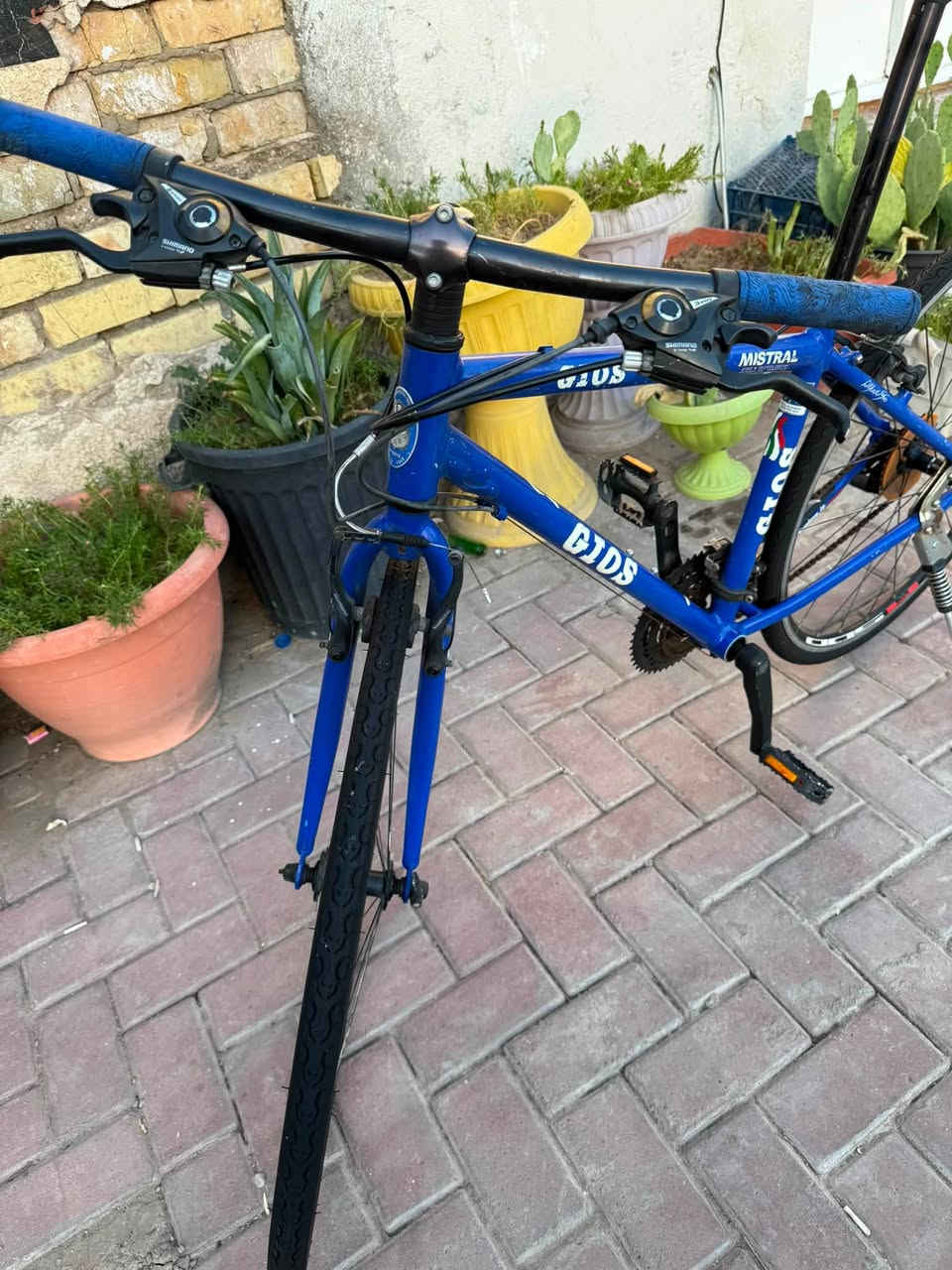 السلام عليكم
دراجة هوائية ماركة جيوس 🚴🚴‍♀️

بالة حاوية غير مستعمل بلعراق
حجم 28 -c700
المعدن المنيوم نظافة 95‎%‎
المكينة 8/3 بدون اي نقص
المجمع شيمانو

السعر 200 الف

عنوان المحل بغداد الحرية الدور

للاستفسار الاتصال ***********
اهلا وسهلا بكم 🌸
