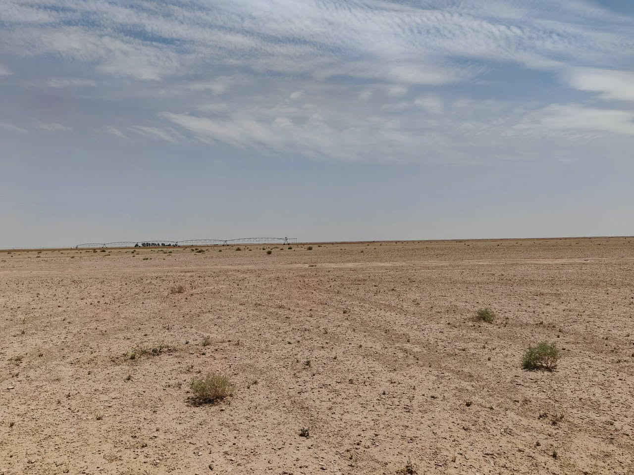 ارض للاستثمار
المساحه ١٠٠٠ دونم الارض خصبة
متوفر كهرباء ضغط عالي وماء البئر قريب ٢٥ متر
تفاصيل الاستثمار على المستثمر ان يوفر
1-مرشات محورية مع الملحقات 
2-حفر ابار مع الملحقات 
3-والتجهيز لزراعة الحنطه تكون نصف على المزراع ونصف على المستثمر 
المكان بادية النجف قرب معمل كار


**إذا كنت صاحب هذا الإعلان وتريد حذفه لأي سبب، رجاءا أرسل رسالة إلى الدعم الفني**