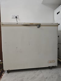 مجامده البيع شرط مطور بلدي. كل عيب مابيه الشريي يختبر 07824140532