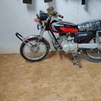 تايگر • موديل 19 • شغالة