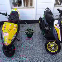 ماكس • عدله • صفره وخضره