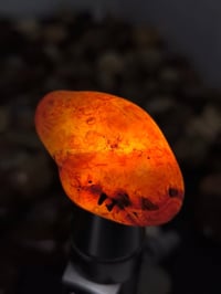 سليماني احمر • خوات قطعتين • توصيل