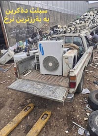 سبلت دايكن • اشتري • بأعلى سعر
