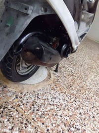 ماكس منغولي • نضيفه • مفتوح شرط