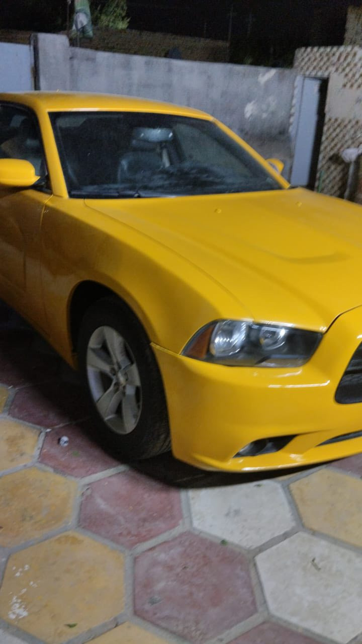 سلام عليكم جارجر موديل 2012 رقم بغداد بسمي
ضربتها جاملغ فقط  بدون دواخل
سيارة جاهزة جاهزة للأخير 
سيارة شادلهة منضومة غاز 
السعر 140 وبية مجال 
مكان ناصريه 
للبيع أو مراوس سوناتا أو أوبتيما 
للاستفسار ***********
