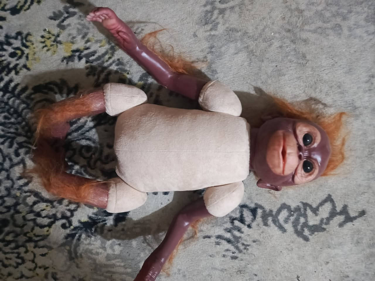 شلعة كلهم ب 60


**إذا كنت صاحب هذا الإعلان وتريد حذفه لأي سبب، رجاءا أرسل رسالة إلى الدعم الفني**