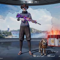 مستوى ٧٢ • بي ٣٧ • مجموعات ٥٣