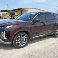 باليسايد • ٢٠٢٤ • فول مواصفات