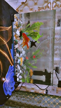 حوض سمك مع كامل ملحقاته يجي ويا غطاس جديد وحصو نوعين او حلزون مع مصفي ...