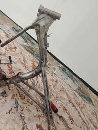 شاصي ارشا 15 • اوراق أصولي • يحتاج صبغ