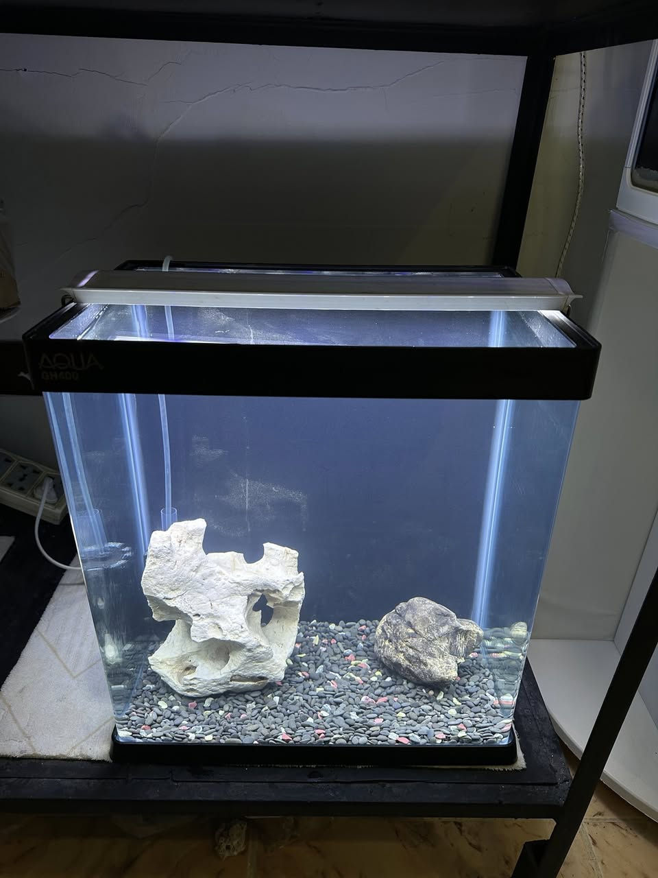 نرخی بۆتە  55 هەزار
حەوزی شەریكەی ئەكوای پێش قەوس . بەكارهاتوو 
لیدێكی گیای ستاندنی شین و سپی لەگەڵە
جیهازی ئۆكسجینی لەگەڵەو فلتەری ئیسفنجی لێ بەستراوە تاوەكو ئاوەكە بپاڵێوێت
 بنی حەوزەكە بە بەردی هاڕاوی ڕەش ٢ بەردی گەورەی  لەگەڵە وەك دیزاین
حەوزەكە بەشی بن و سەقفی پلاستیكی بۆ كراوە تاوەكو لە شكان بیپارێزیت
پشتی باگراوندی ڕەشی لێدراوە
قیاسی درێژی ٤٠ سم بەرزی ٤٠ سم پانی 25 سم
___________________
ئەوەی ویستی نامە بنێرێت 
گەیاندنمان تەنھا بۆ ناو سلێمانی ھەیە


**إذا كنت صاحب هذا الإعلان وتريد حذفه لأي سبب، رجاءا أرسل رسالة إلى الدعم الفني**