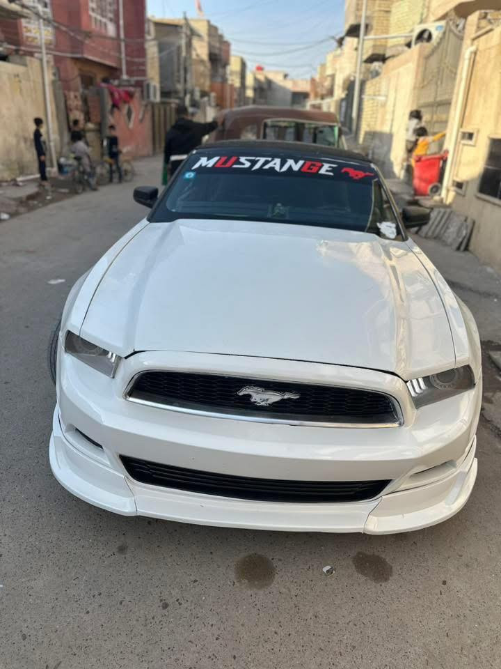 موستنك 14 v6💣  
سياره ستوك بدون اي تزويد 
 
محرك قمبله في حاله جدا ممتاز 🌋
شاشه اندرويد 
كامره خلفيه 
كير اوتو ماتيك 🦾
الكشف شغال 
الكهربايات شغاله 🪩
وياله وايلد 
تايرات جدد 

ضربتها ٣ قطع فقط  

العنوان بغداد الحريه 

ملاحضه رجاً لحد يخلي سعر بلتعليق شراي كبل اتصل وماكطع سعر بالتلفون تعال كلب وشوف وتشلع عيوني 
والله مابيع قسط 

الرقم : ***********

اراوس بموستنك احدث وانطي فرق عادي 

سعر 86 ورقه وبيها مجال للشراي مااقطع سعر بالتلفون
