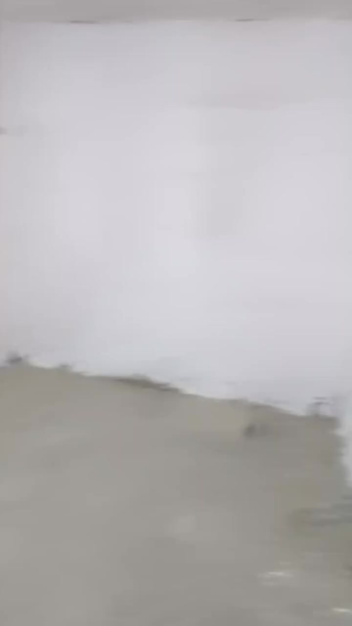 بيت تجاوز التظحيه شارع العياده الاستداره الاخيره عليسره غرفه وصاله استقبال مطبخ وصحيات مساحته 120متر سعره 7مليون الاستفسار علرقم ***********
