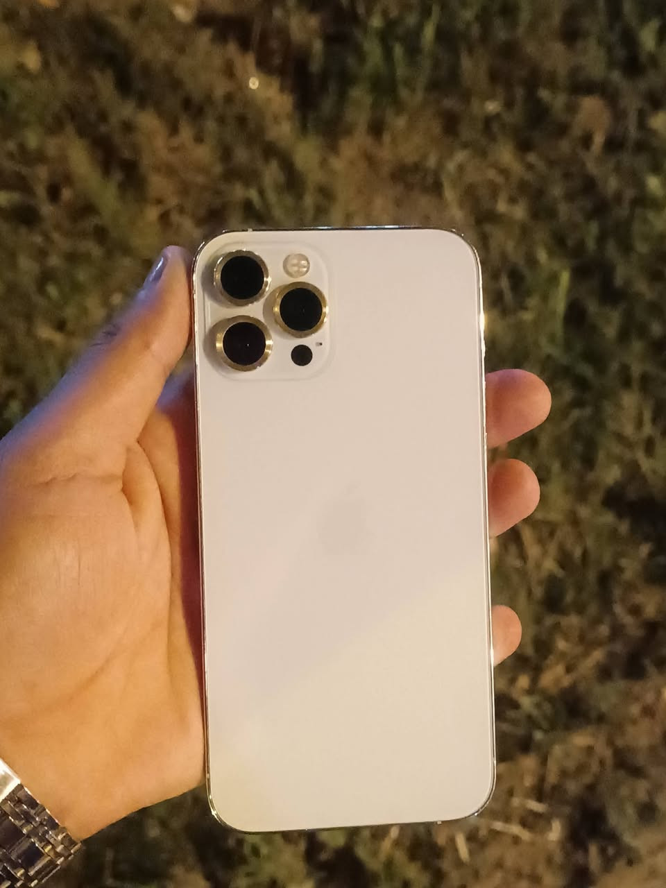 أيفون 12برو ماكس الذاكره 256 البطاريه 100 بطاريه مستبدله أصليه نوعيه جيده أو شاشه مستبدله نوعيه جيده التلفون كله كفاله فيس أيدي شغال كلشي شغال بي مشالله التلفون يجنن فقط كيبل ويه السعر 550 التلفون نظيف أو حلو


**إذا كنت صاحب هذا الإعلان وتريد حذفه لأي سبب، رجاءا أرسل رسالة إلى الدعم الفني**