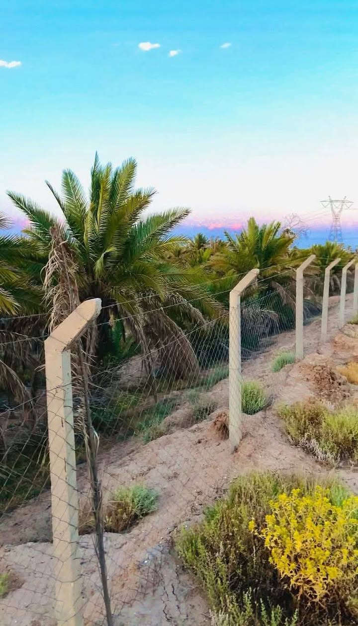 📌 طابو الكاظمية بسعر 60مليون الدونم 2500م تبعد 15دقيقة عن بوابة الكاظمية
🌿 لمحبين الهدوء والراحة – فرصة مميزة بمساحة 2500م
📍 العنوان: بغداد – البصام خلف جسر المصابيح
📏 المساحة: حسب الطلب 
⏱️ تبعد عن الكاظمية 15 دقيقة فقط
💰 السعر: 60 مليون فقط
✨ المميزات:
🔹 على التبليط مباشرة
🔹 كاملة الخدمات (ماء + كهرباء)
🔹 منطقة هادئة جداً
🔹 قريبة من السوق ومدراس
🔹 موقع حيوي ومناسب للسكن أو الاستثمار
💡 إمكانية البيع تقطيع (من دونم فما فوق)
📞 للاتصال: ***********
#بغداد #الكاظمية #التاجي #سبع_البور #عقارات #بيع_اراضي #اراضي_للبيع #استثمار #فرصة #مزارع #استراحة #العراق
