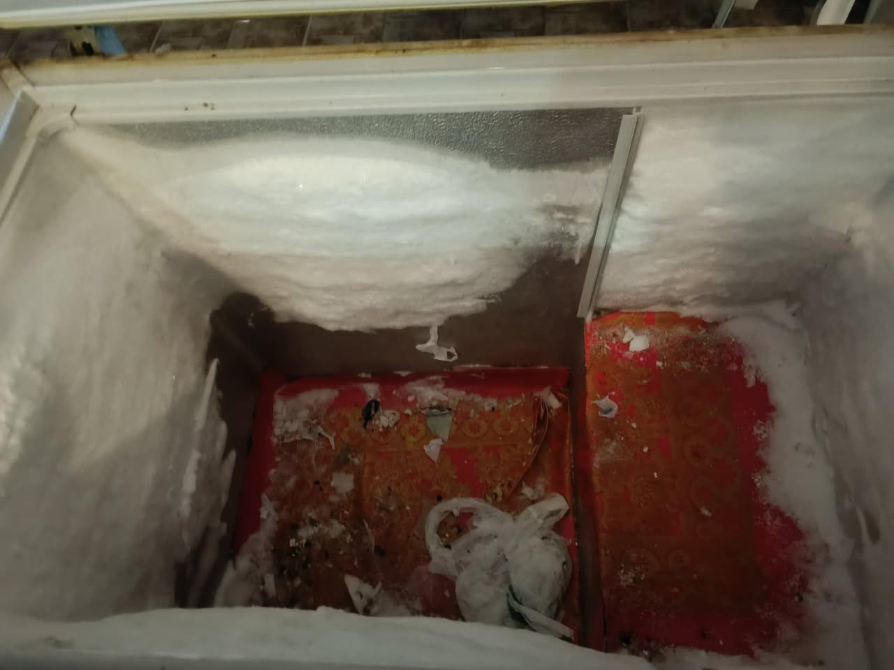 مجمده قديمه بس شغل فول وثلج درجه اولئ سعرها ٧٥  الف


**إذا كنت صاحب هذا الإعلان وتريد حذفه لأي سبب، رجاءا أرسل رسالة إلى الدعم الفني**