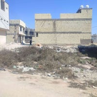 كربلاء شارع الودي • قطعة ركن • ١٠٠م