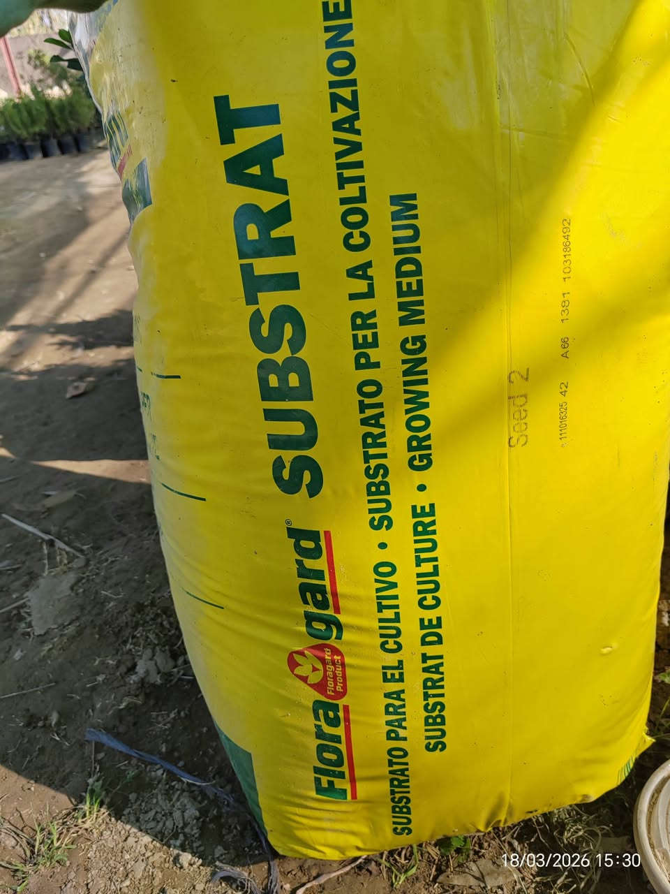📢 وصول أفضل تربة زراعية ألمانية احترافية (فلورا غارد)  🇩🇪🌱
​لكل محبي الزراعة المنزلية والسنادين، وفرنا لكم التربة الألمانية الأصلية من شركة Floragard العالمية، وهي الخيار الأول للمزارعين المحترفين لضمان نجاح أي نبات.
​لماذا تعتبر هذه التربة الأفضل لكل نباتاتك؟
​✅ شاملة وعامة: مصممة لتناسب جميع أنواع النباتات (الخضروات، نباتات الزينة الداخلي والخارجي، والأشجار).
✅ خفيفة ومثالية: تمنع اختناق الجذور وتسمح لها بالنمو والانتشار بسرعة وبقوة.
✅ معقمة 100%: تضمن لك بيئة نظيفة خالية من الفطريات، الحشرات، وبذور الأعشاب الضارة.
✅ غنية بالأسمدة: تحتوي على خلطة مغذيات (NPK) وعناصر صغرى جاهزة لدعم النبات فور زراعته.
✅ خزان رطوبة: تحافظ على رطوبة الجذور لفترة طويلة، وهذا يقلل من حاجة النبات للسقي المتكرر في جونا الحار.
​استخداماتها الواسعة:
​إنبات جميع أنواع البذور (خضروات، فواكه، ورد).
​تجذير العقل لضمان نجاح التكاثر.
​تغيير تربة السنادين القديمة أو تكبير حجمها.
​تحسين تربة الحديقة بخلطها مع الزميج لزيادة الخصوبة والمسامية.
​💰 السعر: 3,000 دينار فقط للكيلو الواحد!
​📍 العنوان: الحساوية - مجاور ملعب الشعب.
⏰ أوقات العمل:
​صباحاً: من 9:00 إلى 12:00
​عصراً: من 3:00 إلى صلاة المغرب
​📞 للتواصل والاستفسار:
​***********
​***********
​بإدارة: محمد عماد
أهلاً وسهلاً بكم في مشتلنا.. جرب التربة الألمانية وشوف الفرق بعينك! 🌿✨
