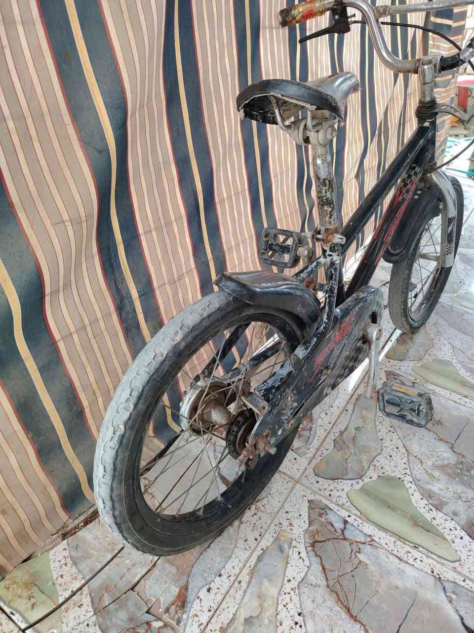 نضيف عوزه نواقص بسيطه ب25


**إذا كنت صاحب هذا الإعلان وتريد حذفه لأي سبب، رجاءا أرسل رسالة إلى الدعم الفني**