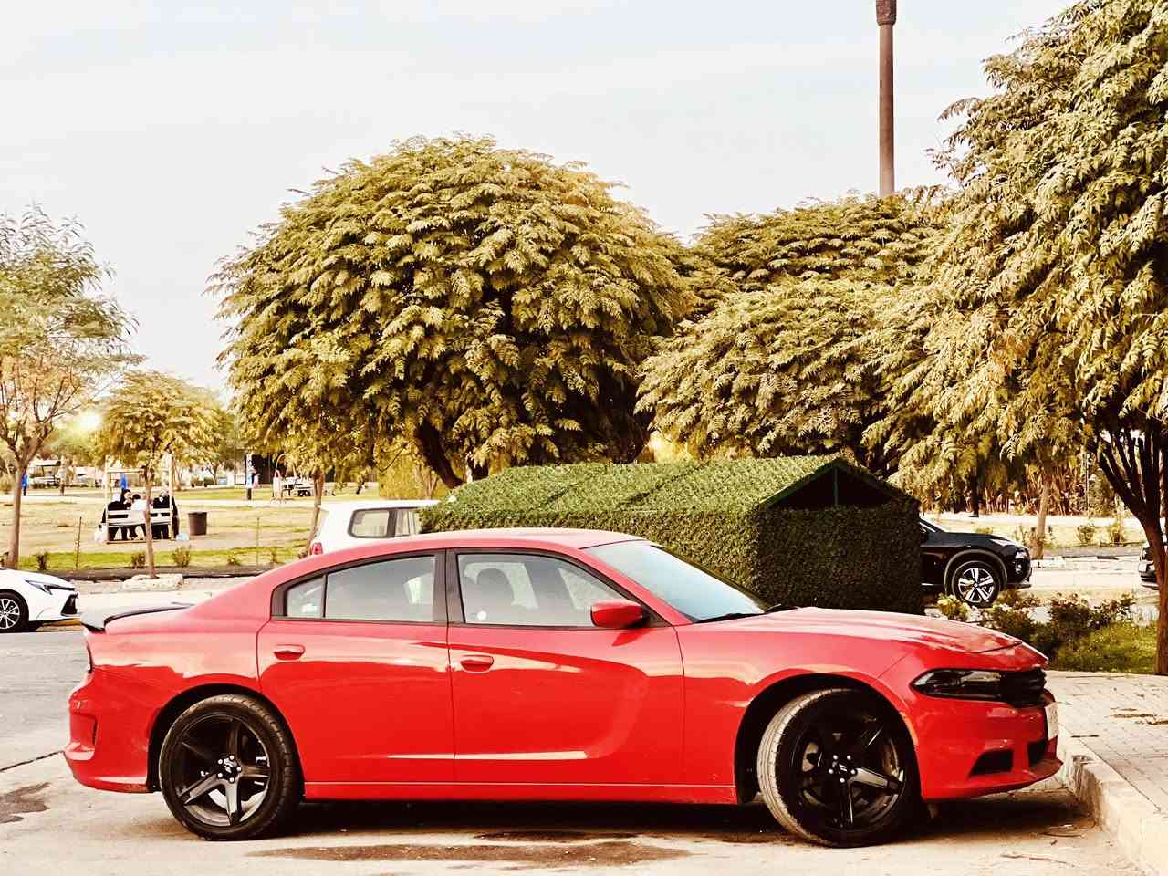 2022 sxt v6جارجر 
255$
للتواصل ***********
