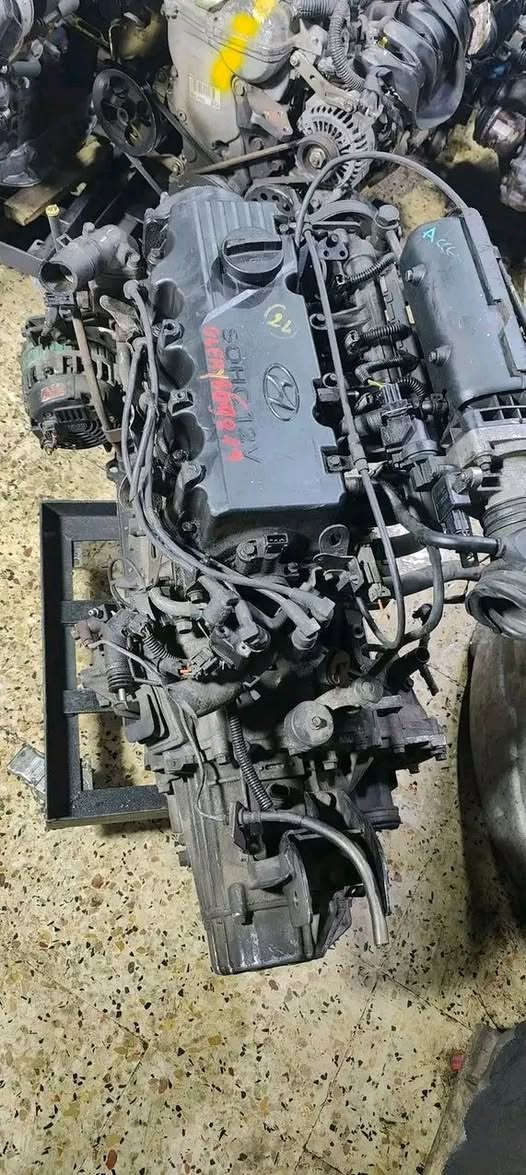 محرك اكسنت مجمول 1.5
0675040562


**إذا كنت صاحب هذا الإعلان وتريد حذفه لأي سبب، رجاءا أرسل رسالة إلى الدعم الفني**