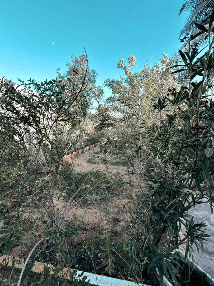 أسعد الله أوقاتكم بكل خير أحبتي 🌸

📢 إعلان بيع شاليه

يعلن مكتب كيان للعقارات عن عرض مميز:

📍 الموقع: البصرة - قضاء أبي الخصيب - منطقة حمدان (قرب محطة الغاز).
📏 المساحة: 800 متر مربع.

📑 سند الملكية: طابو (أسهم).

مواصفات العقار:

• الموقع الجغرافي: يبعد عن الشارع العام مسافة 200 متر فقط.

• الإطلالة: يقع مباشرة على النهر.
• المحتويات: يحتوي على دار سكن، ونخيل، وأشجار متنوعة.
• الحالة: مكان مرتب جداً، هادئ ومميز للسكن أو الاستجمام.

💰 السعر المطلوب: 500 مليون (قابل للتفاوض).

📞 للاستفسار ومزيد من المعلومات، يرجى الاتصال بنا:
***********
