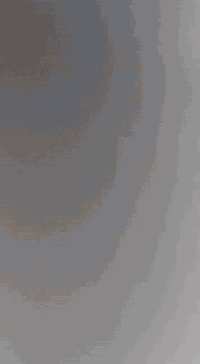 ماكس عدله للبيع بوشه بلاديه شغاله سلف وهندر يرادله  ترتيب  السعر ٤٢٥ و...