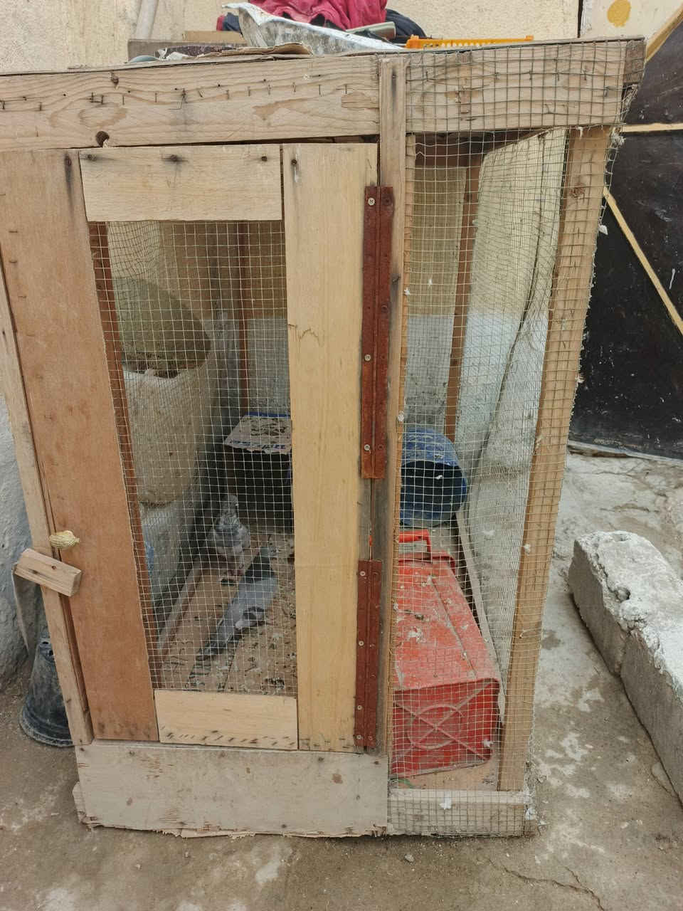 قفص للبيع جديد مسوي 
طول متر ونص والغرض متر رتفاع متر ونص 
اريده 25


**إذا كنت صاحب هذا الإعلان وتريد حذفه لأي سبب، رجاءا أرسل رسالة إلى الدعم الفني**