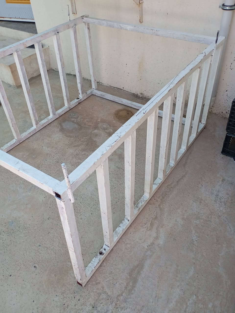 محجل مل ستوتا للبيع رقم /***********/***********

