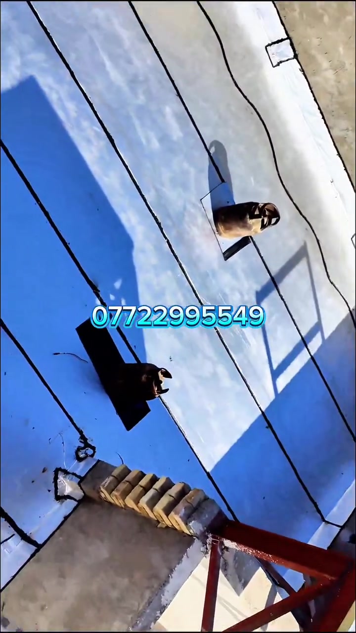 🏠 احمِ منزلك مع "شركة الفظل للايزوكام" لعزل الأسطح ***********📞💬
لا تدع تسربات المياه أو حرارة الصيف تسبب لك المتاعب! مع خدمات "الفظل للايزوكام" لعزل الأسطح بمادة الإيزوكام، نقدم لك:

✅ حماية تدوم سنوات: عزل فائق الجودة يمنع التسربات والرطوبة.
💡: عزل حراري يحافظ على برودة منزلك.
🛡️ راحة بال دائمة: وداعًا للأضرار وارتفاع تكاليف الصيانة.
🏅 أفضل المواد وأعلى معايير الجودة: فريقنا متخصص ويضمن رضاك التام.
📞 للتواصل والاستفسار:

رقم الهاتف: #اتصل***********
استثمر في راحة منزلك اليوم مع "#شركةالفظل_للايزوكام"
@أبرز المعجبين !
