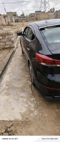 الانترا امريكي • ٢٠١٧ • دوالي اربيل