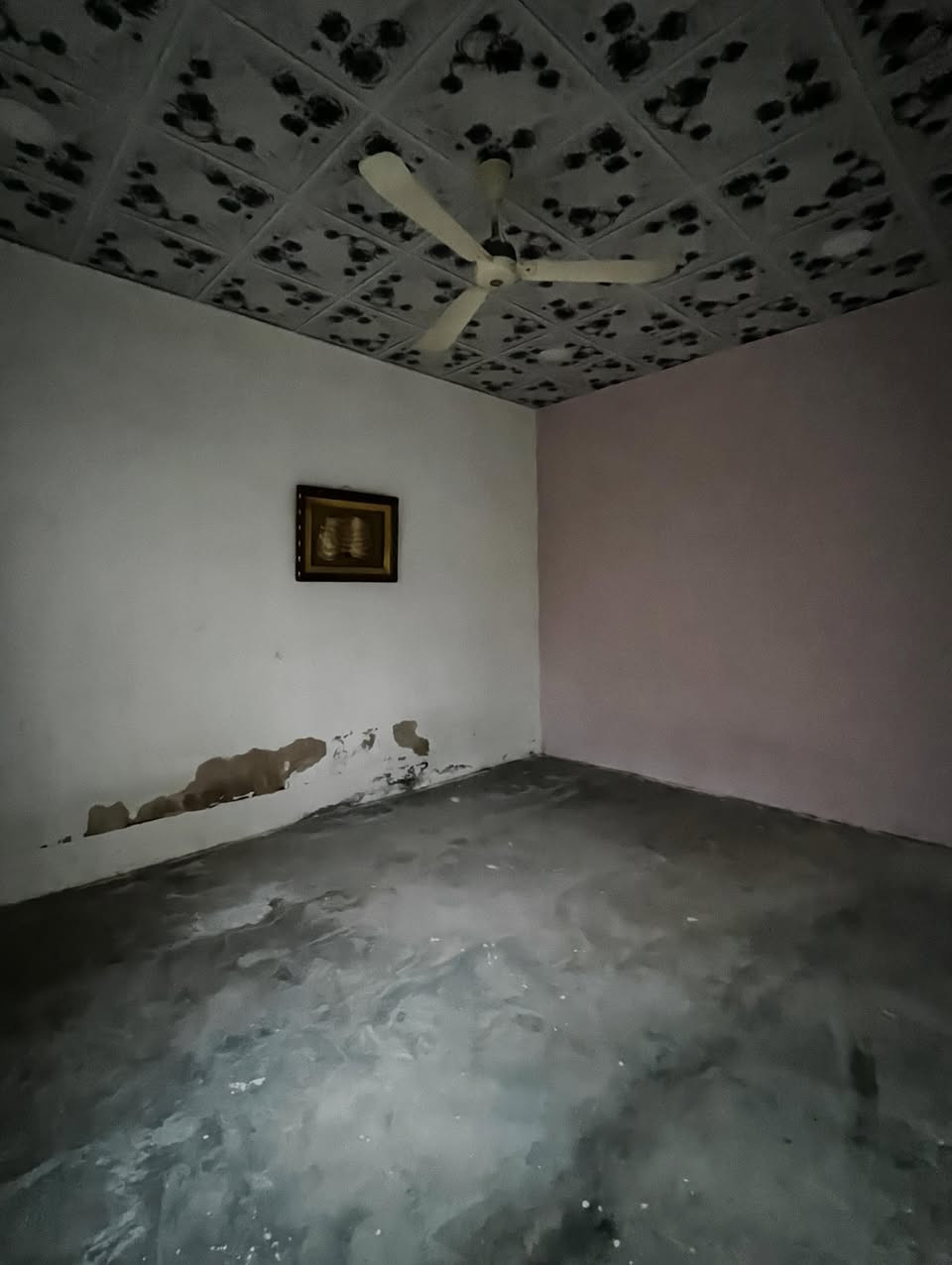 مشتمل للأيجار حي صلاح الدين


**إذا كنت صاحب هذا الإعلان وتريد حذفه لأي سبب، رجاءا أرسل رسالة إلى الدعم الفني**