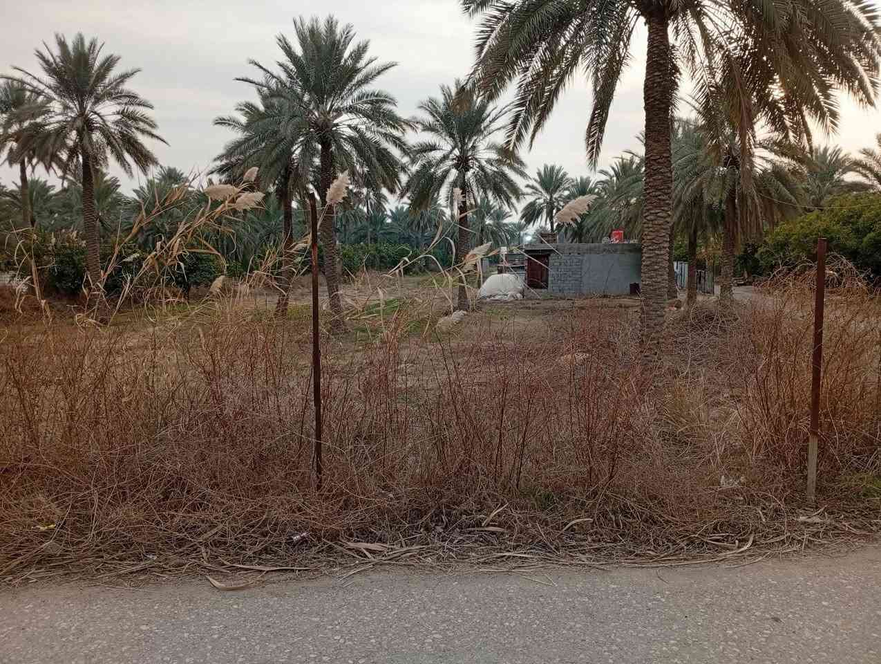 السلام عليكم
ارض طابو زراعي للبيع 39 دونم
يوجد فيها 3 بيوت سكنية +يوجد فيها شاطية
وحصه مائيه 
تحتوي ع نخيل وحمضيات 

العنوان: واسط قضاء الصويرة قرية جبيل 
رقم الهاتف:***********
***********
للاستفسار الاتصال ع الارقام أعلاه
