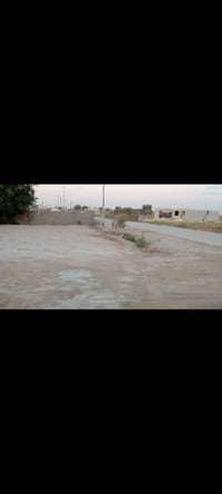 طاميه سديناويه • ٢٥٠م • قطعة ١٠٠٠م