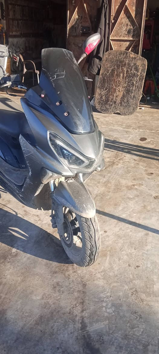 ان ديالى كنعان ***********
