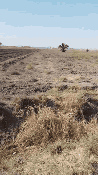 للبيع:
قطعة أرض بمساحة دونم ونصف في أبو غريب – منطقة السميلات.
الملكية طابو 25 وباسمي الشخصي، مو دلال، والتحويل مباشر.
تبعد الأرض عن الشارع الرئيسي 60 مترًا.
للاستفسار:
📞 *********** (اتصال أو واتساب)، أو مراسلة الصفحة.
موقع الأرض:
33.362412, 44.087153
🎥 هذا مقطع فيديو للأرض
