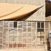 قفص ٤ متر في متر و٢٠ سم  مقسم قفصين شغل درجه أولى يرهم قفص مال طيور او...