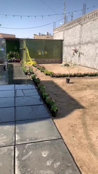 تزيين • حديقة • صباح الورد