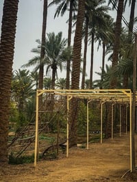 مزرعة منتجع • ٥ دونم • شارع الرابط