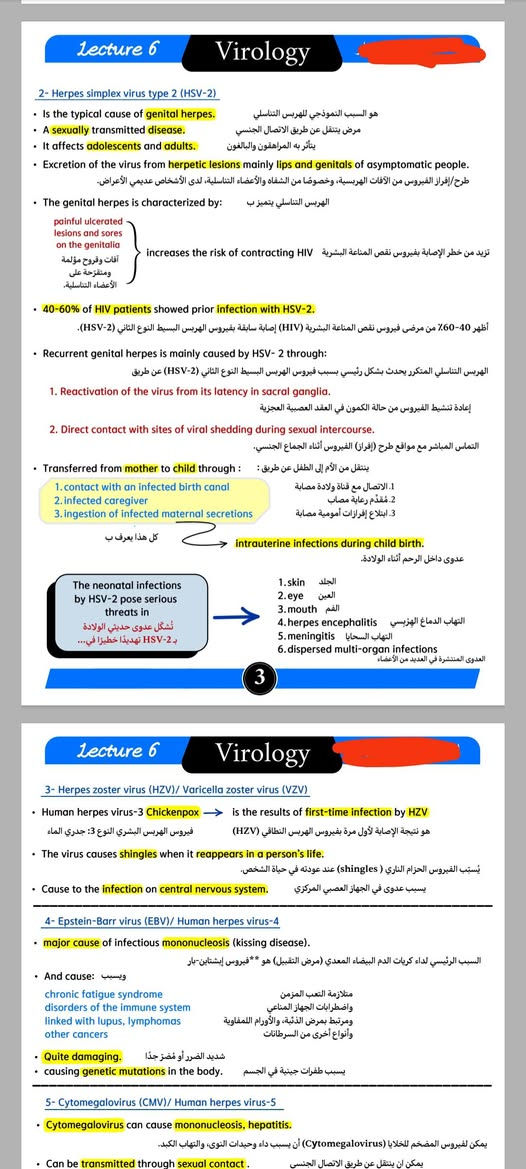 السلام عليكم
⭕ انت استاذ وتريد تصاميم لملزمتك 👌🔥✍️
⭕ انت دكتور جامعي وتريد تصميم لحقيبك 👌🔥✍️
⭕ انت طالب جامعي وملازمك تحتاج تصميم وترجمة بدقة عالية 👌🔥✍️
⭕ انت طالب مدرسة وتريد تصميم وترتيب لملازمك 👌🔥✍️ 
⭕ عندك اعلان دراسي او دورة الكترونية وتريد غلاف للاعلان  👌🔥✍️
⭕ تريد تصمم لوكو خاص بيك 👌🔥✍️

كل هذا متوفر يمنا 💯
وباسعار مناسبة جداً 🔥

هذا نموذج للتصاميم الي سوينها 👌🤩

للحجز التواصل على الرقم واتساب ***********
