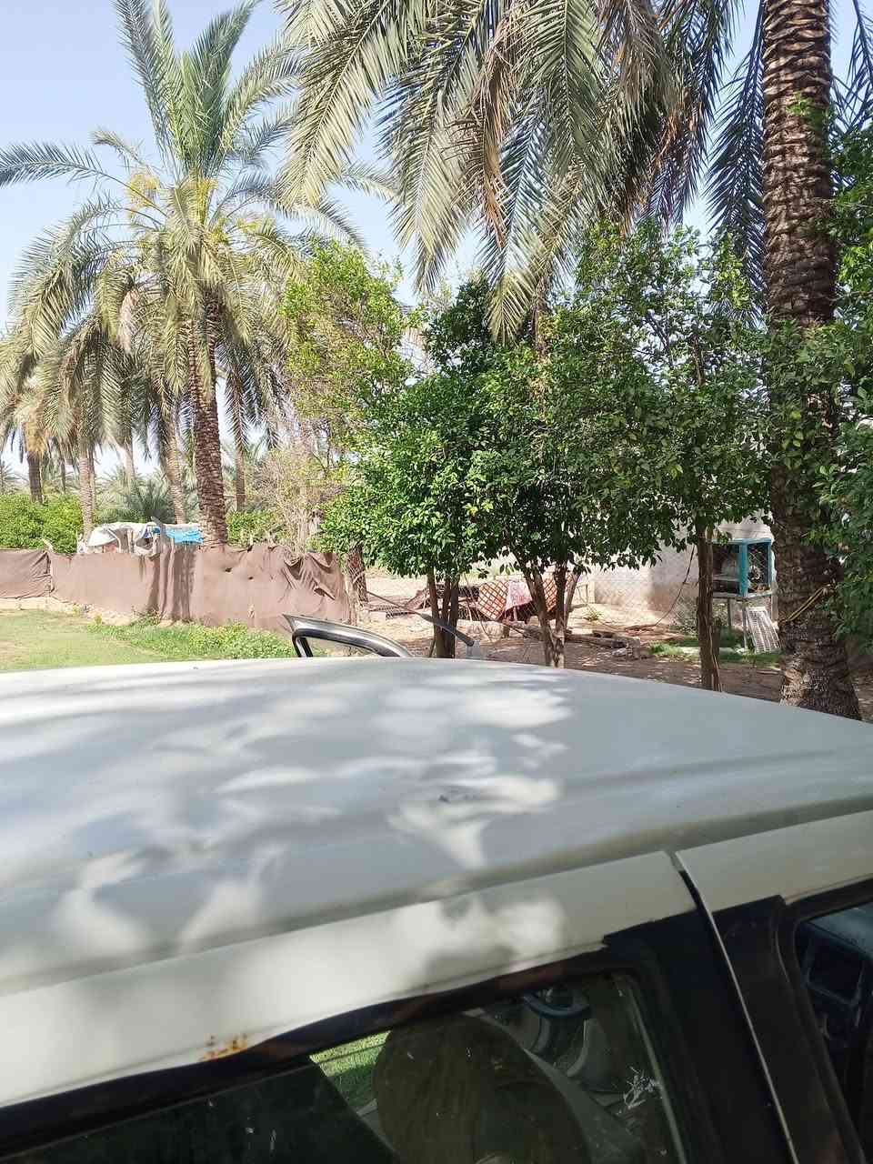 جانبي رويال 2006مصبوغه احزام محرك كير اكسن شاصي مقفولات سعر40وبيها مجال واسط صويره
***********
