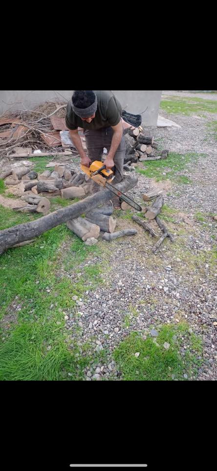 موطور كص جاهز اي شجره ماتحتاجهه اني اجيك وبلاش ***********
