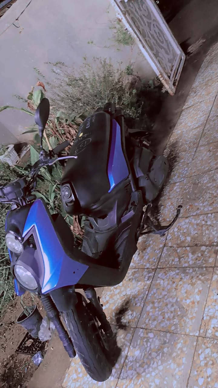 السلام عليكم جبلي رمبة للبيع جديدة مكفولة كفالة عامة العنوان حلة مركز *********** السعر خاص
