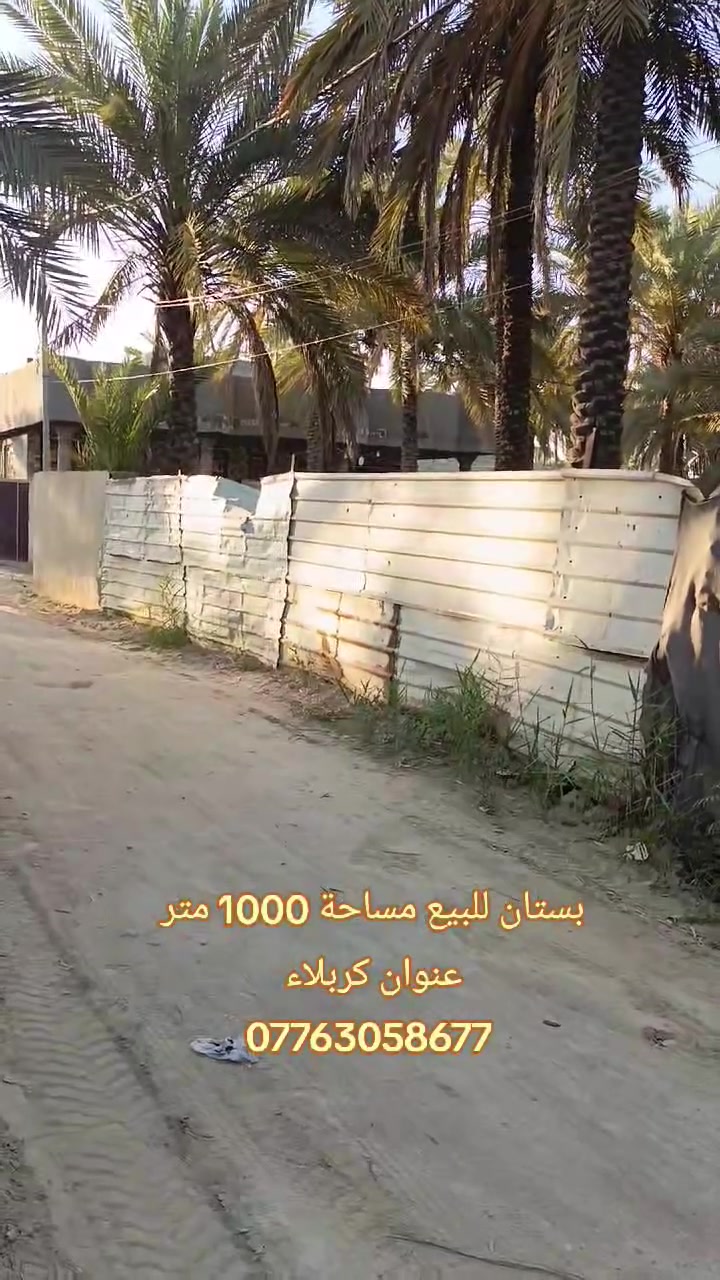 🔴 بستان للبيع 
🔴 مساحة 1000 متر واجهه 23متر نزال 45 متر 
🔴 سند زراعي سند25 تحويل اسهم بأسم المشتري
🔴 عنوان كربلاء طريق الحسينية عامود 114 قرب فندق البارون 
🟢 سعر البستان 250 مليون قابل للتفاوض 
🟢 للاستفسار الاتصال على الرقم التالي 
🟢 *********** واتساب
