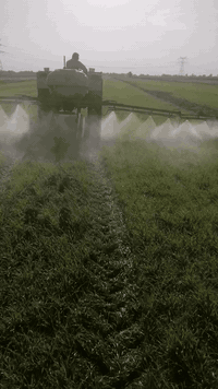 يا الله سلام عليكم البيع مرشه دوه مكفوله كفاله عامه ستخدام موسم واحد ف...