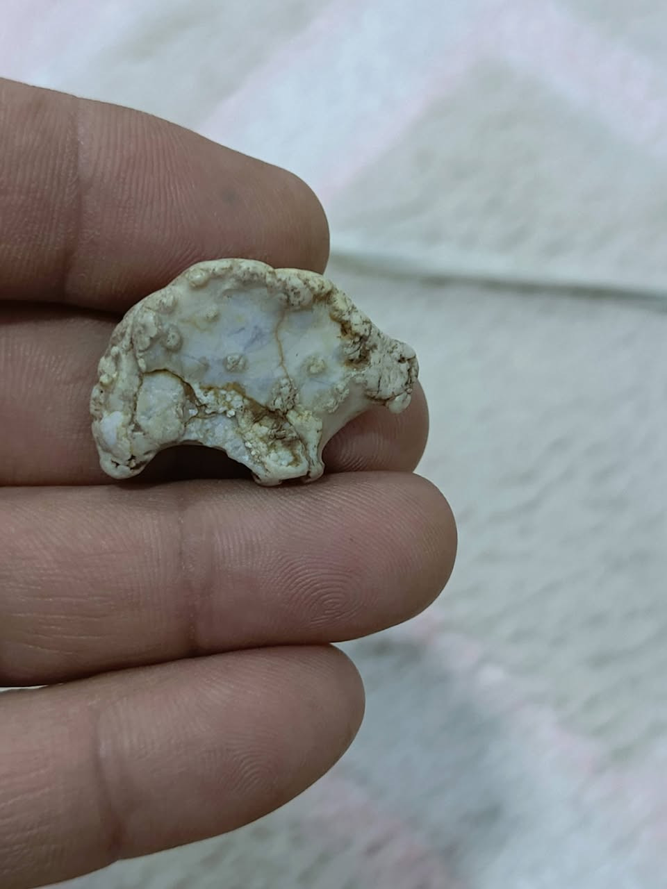 عطف بري ملاكط قديم مصور رباني يوجدتوصيل


**إذا كنت صاحب هذا الإعلان وتريد حذفه لأي سبب، رجاءا أرسل رسالة إلى الدعم الفني**